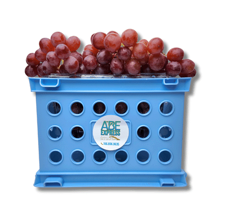Uvas Rojas Frescas