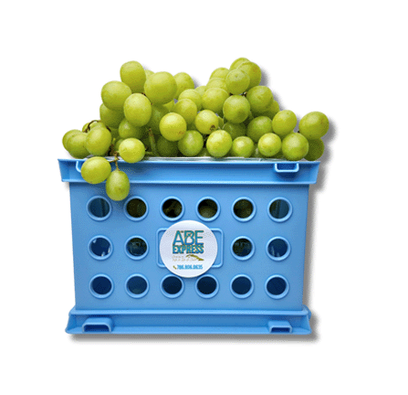UVAS VERDES FRESCAS